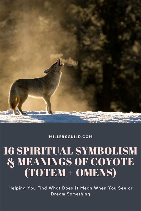 coyote omen meaning|coyote totem meaning.